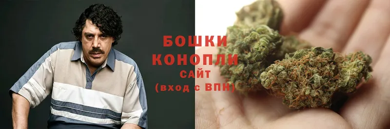 как найти   mega ссылки  Бошки Шишки LSD WEED  Снежногорск 